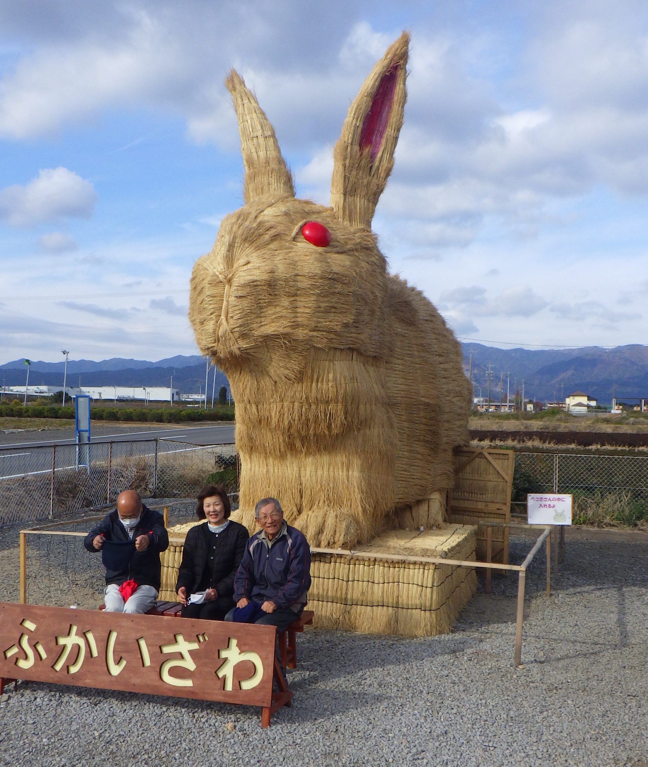 巨大なウサギが田園地帯に登場　夜はライトアップ　三重県鈴鹿市