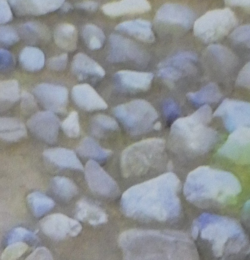 三重県鈴鹿市の古墳「富士山１号墳」からふき石が出土　約1500年前に並べられた状態が残る　